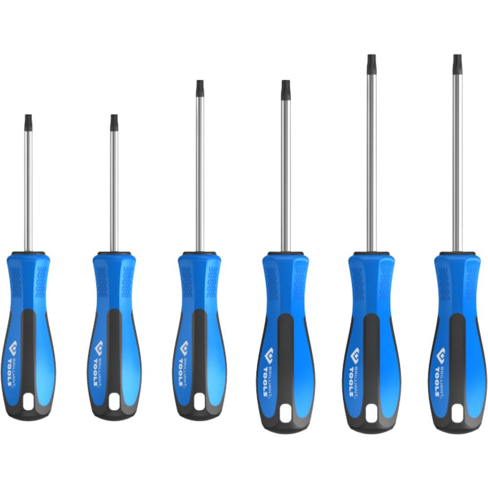 Brilliant Tools BT031010 Schroevendraaierset