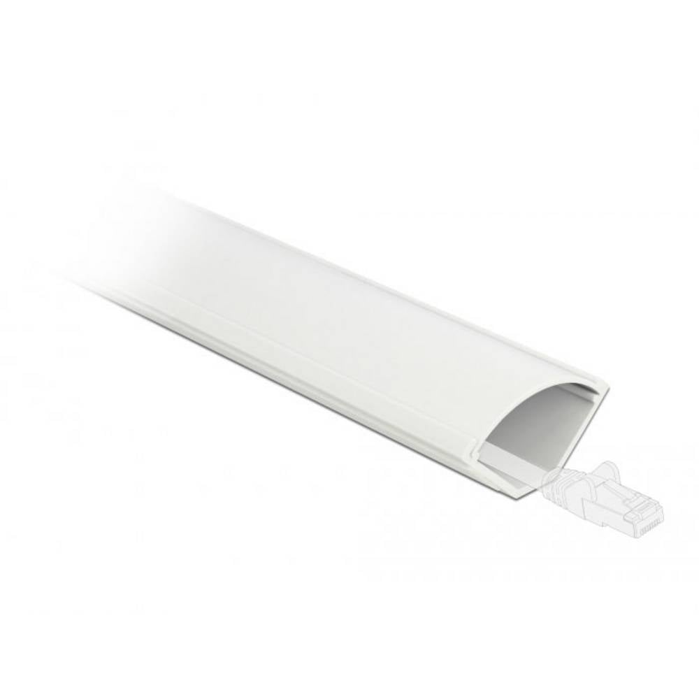 Delock 20714 Hoekkanaal Binnenhoek (l x b) 1 m x 43 mm Wit 1 stuk(s)