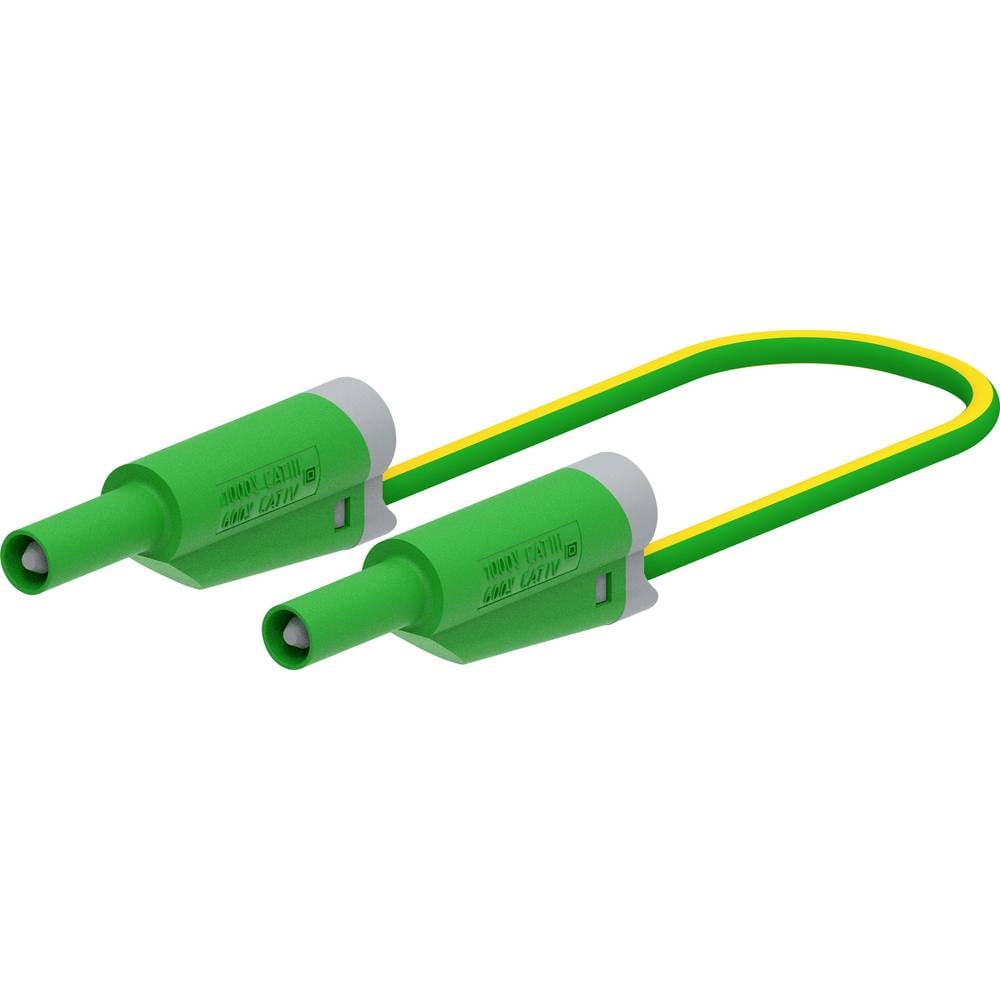 Electro PJP 2712-IEC-CD1-100V Meetsnoer Bananenstekker 100 cm Groen 1 stuk(s)