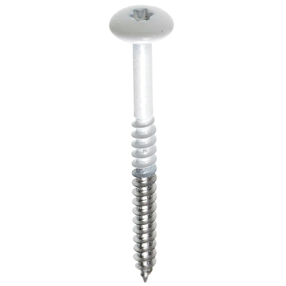 Fisinox PLAATSCHROEF 4.8X38 MM/100ST