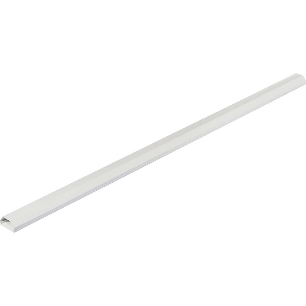 Sygonix SY-6774216 Kabelgoot (l x b x h) 1100 x 50 x 26 mm 1 stuk(s) Wit