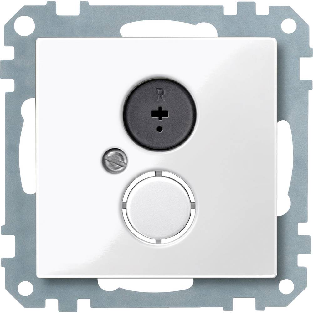 Merten 296919 Inzetstuk System M Polar-wit 1 stuk(s)