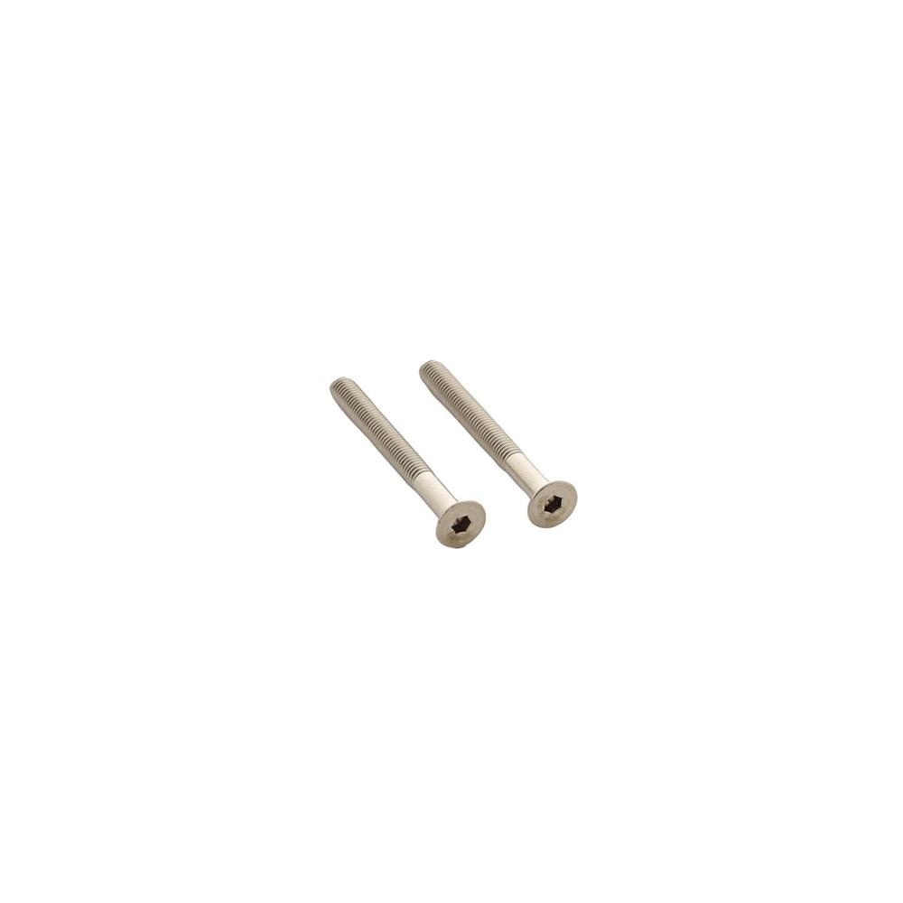 Intersteel Set van 2 bouten 6-kant M5x48mm rvs