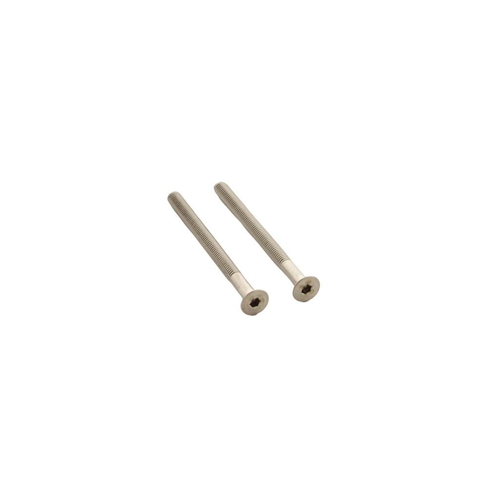 Intersteel Set van 2 bouten 6-kant M5x65mm rvs