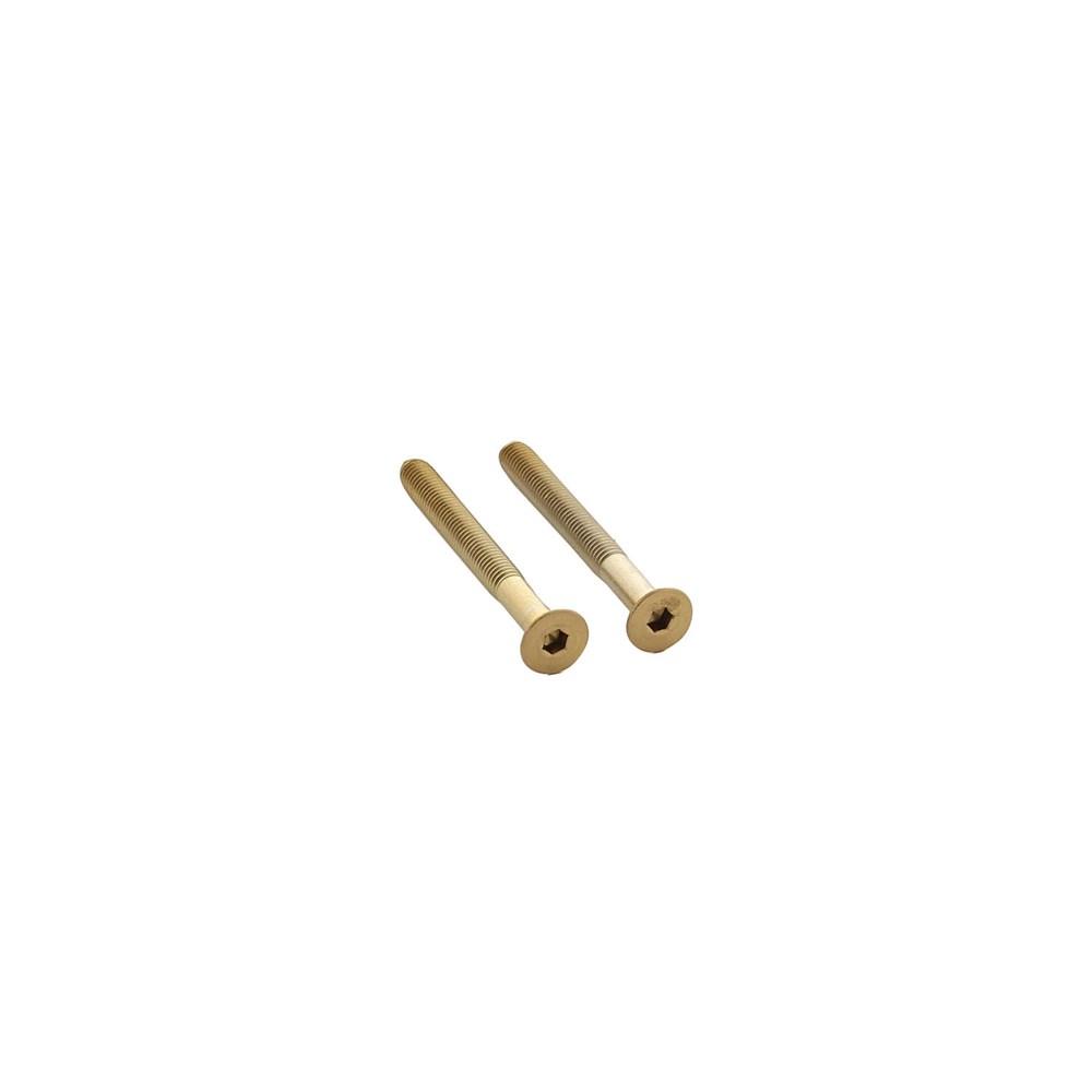 Intersteel Set van 2 bouten 6-kant M5x48mm rvs PVD messing mat