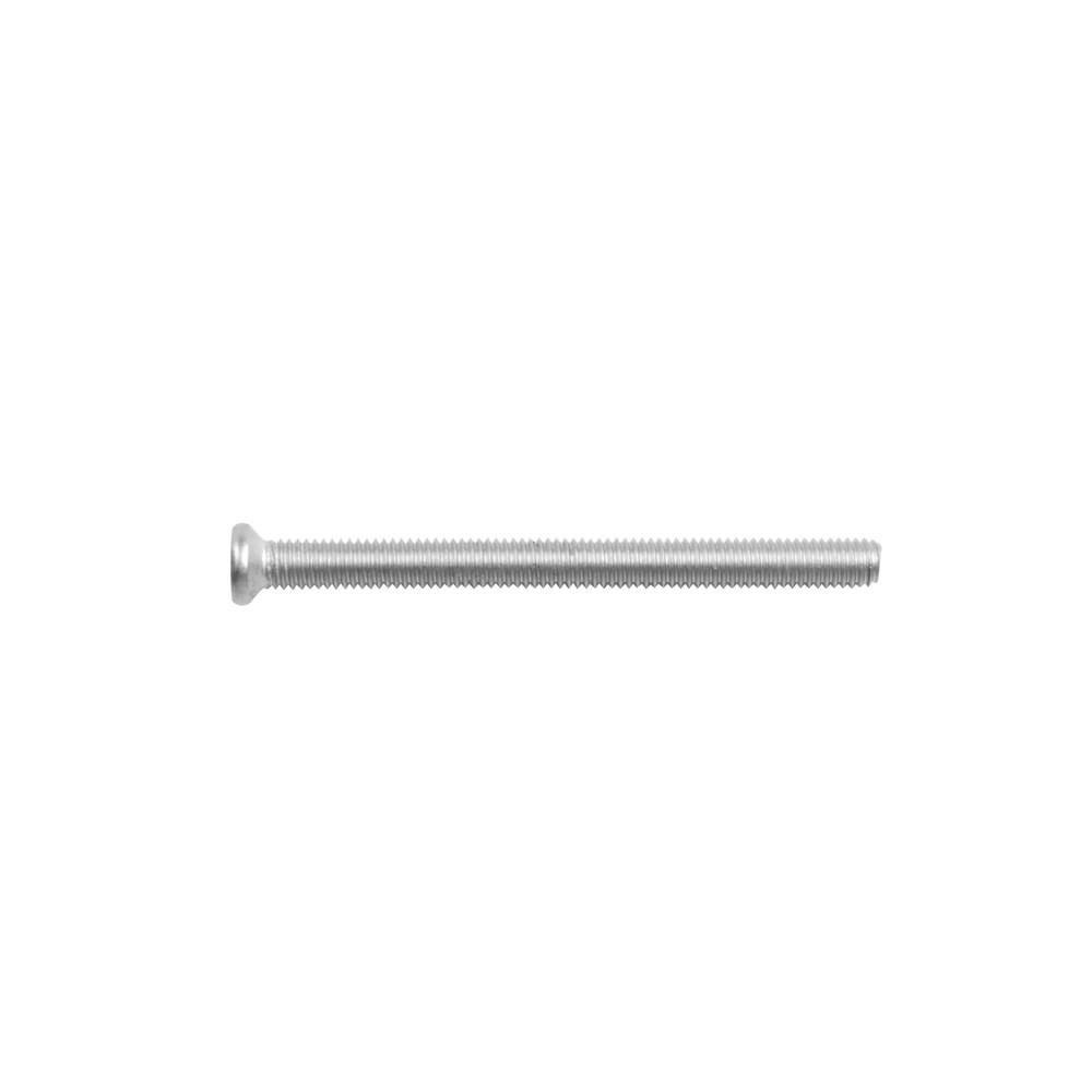 Intersteel Bout 6-kant 53mm tbv RVS veiligheidsschild voor deurdikte 38mm