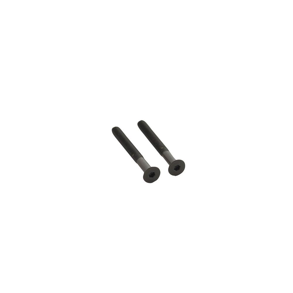 Intersteel Set van 2 bouten 6-kant M5x48mm rvs PVD zwart