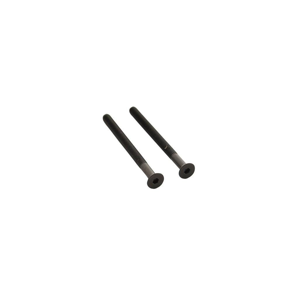 Intersteel Set van 2 bouten zeskant M5x65mm RV