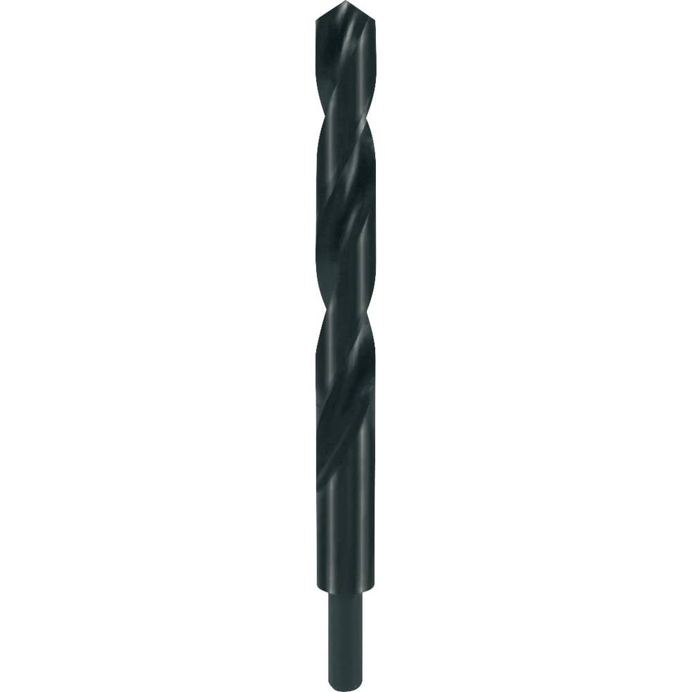 RUKO 200120 HSS-R Spiraalboor 12 mm Gezamenlijke lengte 151 mm DIN 338 1 stuk(s)