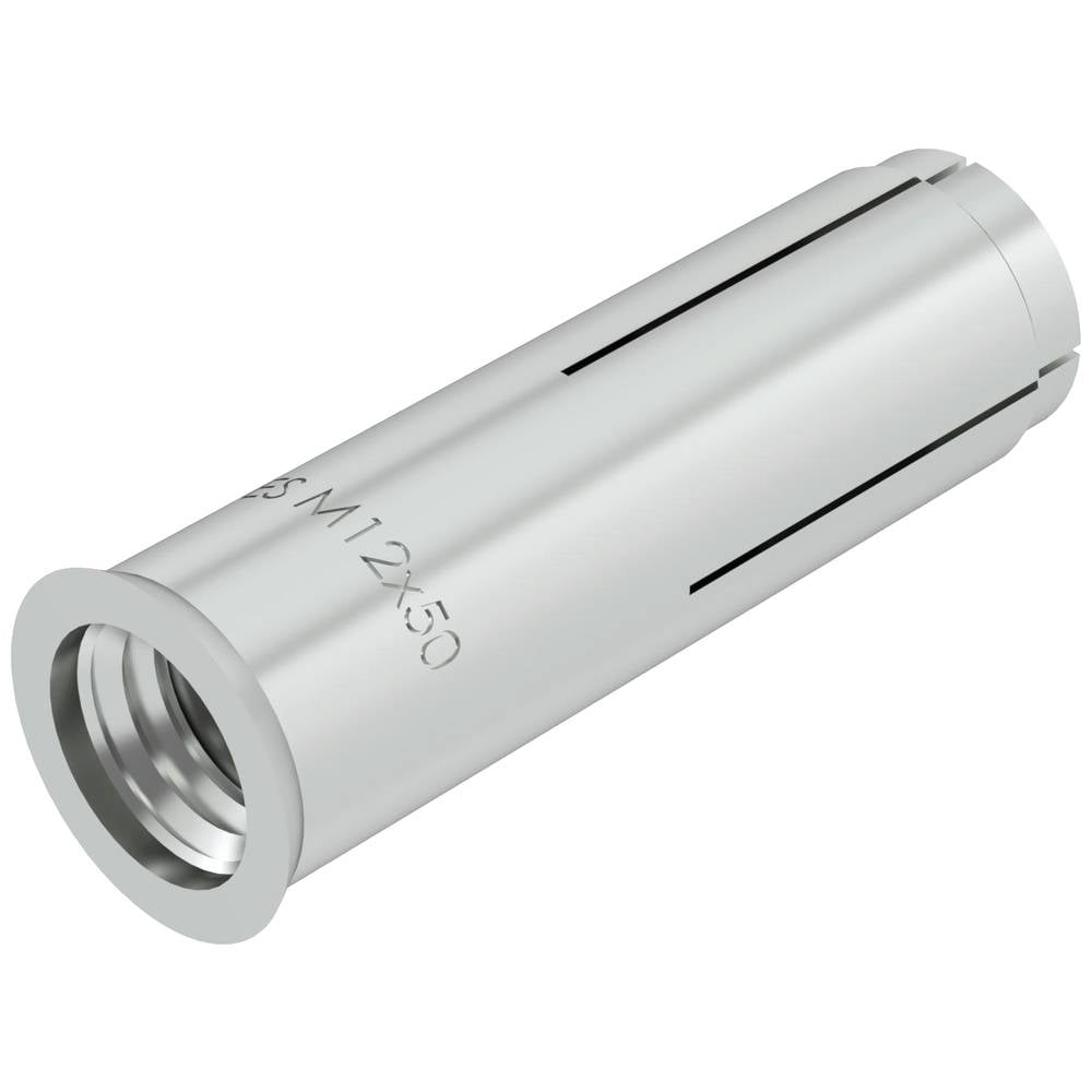 OBO Bettermann 3492026 ES M 12x50 Inslaganker 50 mm 50 stuk(s)