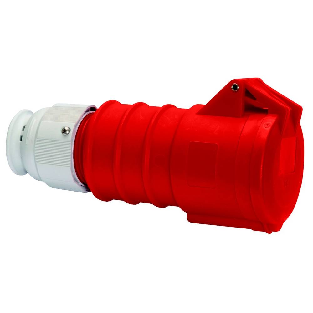 Bals Elektrotechnik 31981 31981 CEE-koppeling 32.0 A 5-polig 400 V 1 stuk(s)