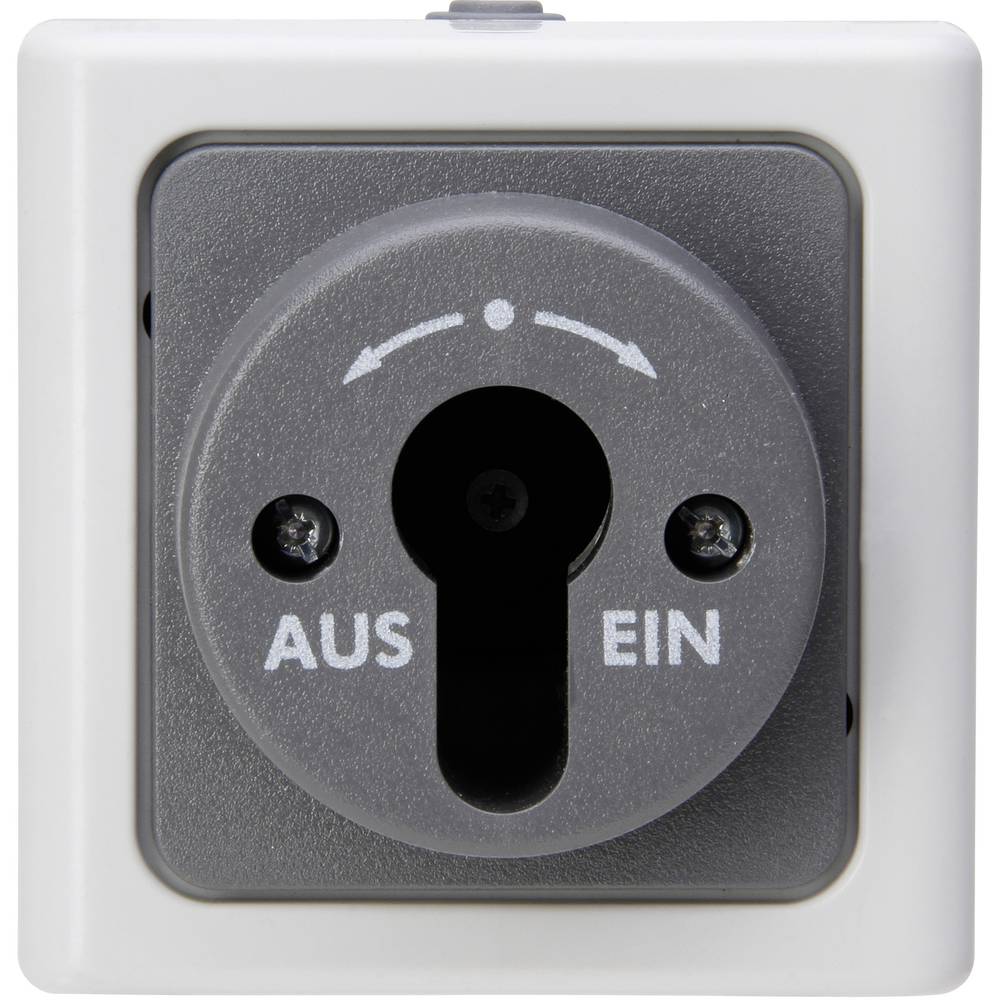 Kopp 561756017 BlueElectric Compleet Sleutelschakelaar spatwaterdicht Grijs 1 stuks 1 stuk(s)