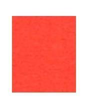 Papier A4 120 gram rood 100 stuks