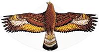Günther - Singleline Golden Eagle 112x68cm (1146)