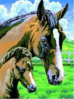 MAMMUT Spiel und Geschenk Junior Painting by Numbers - Pferd mit Fohlen
