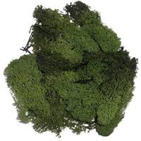 Decoratie mos donkergroen 50 gram Groen