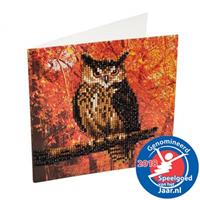 Crystal Art D.I.Y CCK-A10 - Crystal Card Kit, Autumn Owl, Craft Buddy, Eule, Kristall-Grußkarte, Bastelset