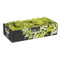 Mica Decorations Decoratie/hobby mos lichtgroen 500 gram Groen