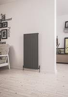 eastbrook Addington type 10 radiator 120 x 58,8cm 1055 watt antraciet