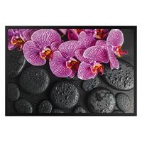 Klebefieber Fußmatte Pinke Orchidee