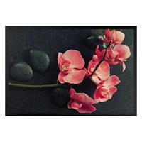 Klebefieber Fußmatte Rosa Orchidee