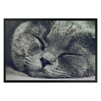 Klebefieber Fußmatte Schlafende Katze