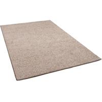 Snapstyle Hochflor Velours Teppich Mona taupe Gr. 100 x 100