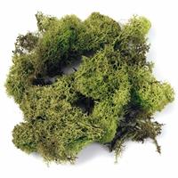 Rayher hobby materialen 4x zakjes decoratie mos lichtgroen 100 gram -