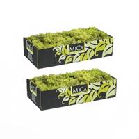 Mica Decorations 2x pakjes decoratie/hobby mos lichtgroen 500 gram -