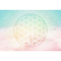 Architects Paper Fotobehang Atelier 47 Flower of Life 2 (4-delig)