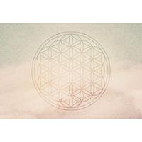 Architects Paper Fotobehang Atelier 47 Flower of Life 2 (4-delig)