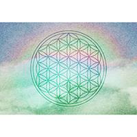 A.S. CREATIONS A.s.creations - DD117585 FlowerOfLife3 Atelier 47 fototapete orientalisch 270 x 400 cm (4 Teile) Fototapeten Online-Shop - Grün, Violett / Lila