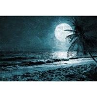 A.S. CREATIONS A.s.creations - DD117615 BeachAtNight3 Atelier 47 fototapete mond meer palmen 270 x 400 cm (4 Teile) Jetzt Fototapeten günstig kaufen - Blau, Weiß