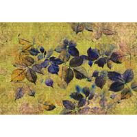 A.S. CREATIONS A.s.creations - Fototapete indian summer1 DD114092 Livingwalls Walls by Patel Vliestapete Gelb Orange - Grün, Rosa, Rot, Violett