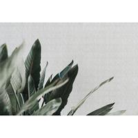 A.S. CREATIONS Fototapete urban jungle 1 DD114212 Livingwalls Walls by Patel Vliestapete Grau Grün - Blau