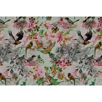 A.S. CREATIONS A.s.creations - Fototapete funky birds 1 DD110176 Livingwalls Walls by Patel Vliestapete Grün Orange Rosa - Grün, Orange, Rosa