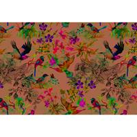 A.S. CREATIONS A.s.creations - Fototapete funky birds 3 DD110186 Livingwalls Walls by Patel Vliestapete Blau Grün Orange Rot Türkis Violett - Blau, Grün, Orange,