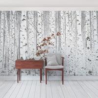 Bilderwelten Fototapete Birkenwald - Birken im Herbst - Vlies Breit Größe HxB: 190cm x 288cm