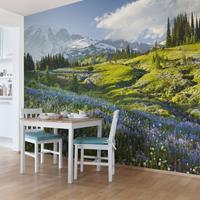 Bilderwelten Fototapete Berge - Bergwiese mit Blumen vor Mt. Rainier - Vliestapete Breit Größe HxB: 190cm x 288cm