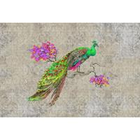 A.S. CREATIONS A.s.creations - Fototapete peacock 1 DD114307 Livingwalls Walls by Patel Vliestapete Grün Rosa Braun Violett - Beige, Blau, Gelb, Grau, Violett