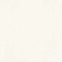 A.S. CREATIONS Weiße Tapete einfarbig | Struktur-Tapete weiß 300931 | Vliestapete uni weiß 30093-1 | Uni-Tapeten für Wohnzimmer & Schlafzimmer - Wei&szli