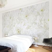 Bilderwelten Fototapete Blumen - Dahlien Blumenmeer weiß - Vliestapete Breit Größe HxB: 225cm x 336cm