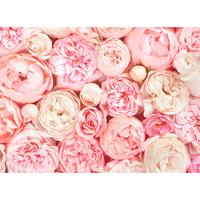 living walls Fotobehang Designwalls Roses (5-delig)