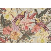 A.S. CREATIONS A.s.creations - Fototapete exotic birds 1 DD114412 Livingwalls Walls by Patel Vliestapete Beige Rosa Rot - Grau, Weiß