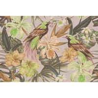 A.S. CREATIONS A.s.creations - Fototapete exotic birds 2 DD114417 Livingwalls Walls by Patel Vliestapete Beige Grün - Beige, Grün