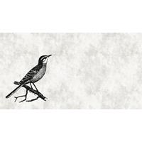 A.S. CREATIONS A.s.creations - Fototapete sketchpad 4 DD110366 Livingwalls Walls by Patel Vliestapete Beige Creme Grau Schwarz Weiss - Beige, Creme, Grau, Schwarz,
