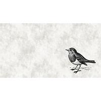 A.S. CREATIONS A.s.creations - Fototapete sketchpad 5 DD110371 Livingwalls Walls by Patel Vliestapete Beige Creme Grau Schwarz Weiss - Beige, Creme, Grau, Schwarz,