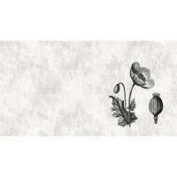 A.S. CREATIONS Fototapete sketchpad 6 DD110376 Livingwalls Walls by Patel Vliestapete Beige Creme Grau Schwarz Weiss - Beige, Creme, Grau, Schwarz, Weiß
