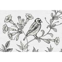 A.S. CREATIONS A.s.creations - Fototapete birdy 1 DD110416 Livingwalls Walls by Patel Vliestapete Grau Schwarz Weiss - Grau, Schwarz, Weiß