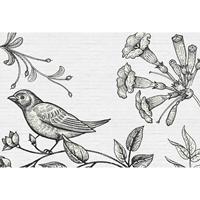 A.S. CREATIONS A.s.creations - Fototapete birdy 3 DD110426 Livingwalls Walls by Patel Vliestapete Grau Schwarz Weiss - Grau, Schwarz, Weiß